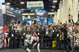 中国机器人学“打架”练“挨打”