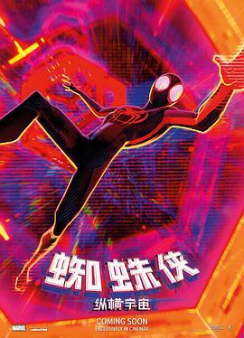 蜘蛛侠