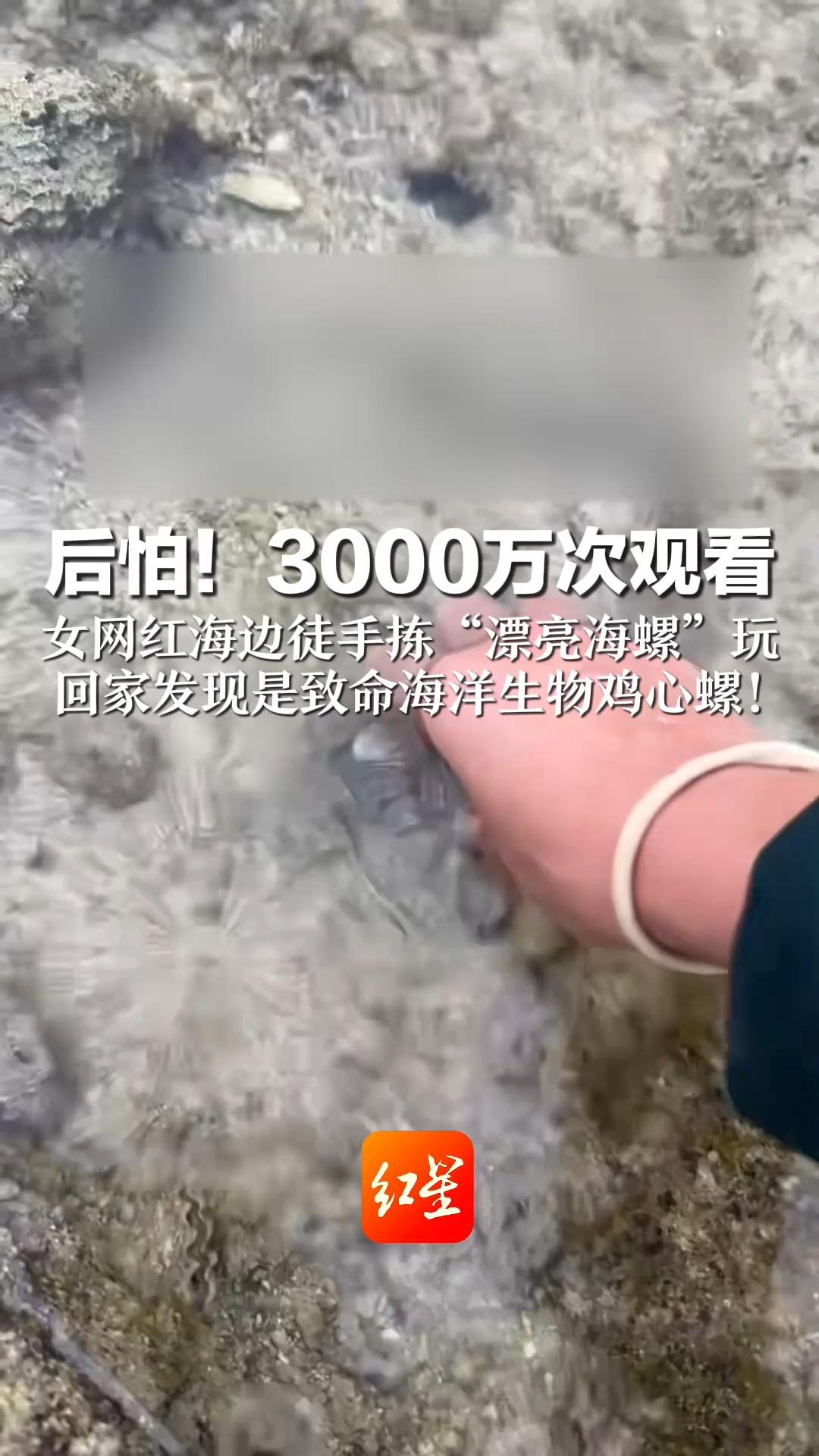  女网红海边徒手捡起致命鸡心螺