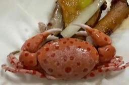 女子买海鲜混入剧毒红斑斗蟹差点误食