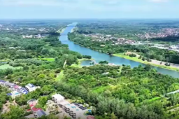   这座苏北县城为何吸引30万年轻人返乡 缩略图