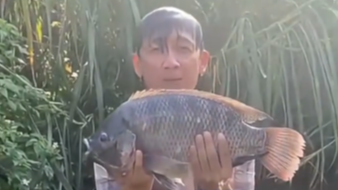  两次关税战没压垮这条鱼