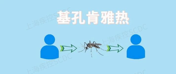 >HB火博·体育官方正版手游客户端