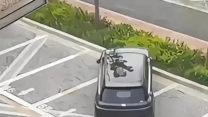 >leyuapp官网下载官方版-leyuapp官网下载最新版下载桌面版客户端