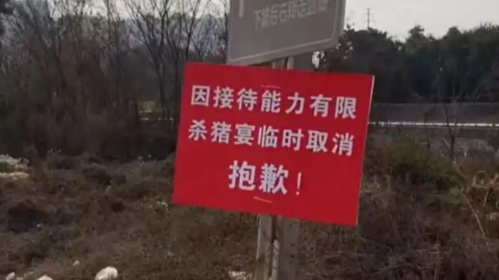 全国多地刨猪宴降温：农村聚餐需报备