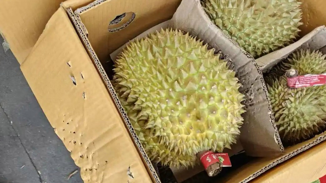  榴莲又便宜了