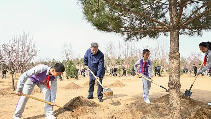 总书记为推进国土绿化指引方向