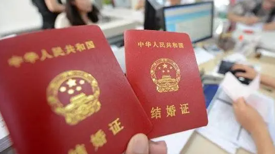动物园冰柜内现大量野生动物尸体