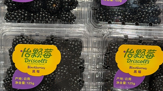  怡颗莓回应检出致癌物