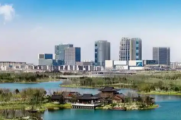   苏林访华 为何从北京直奔雄安 缩略图