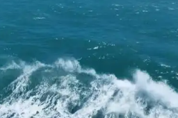   美军称打击一艘贩毒船只 三人被打死 缩略图