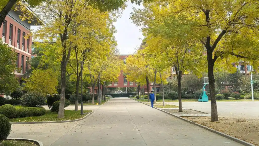 砸30万补课到700分最后选了职校