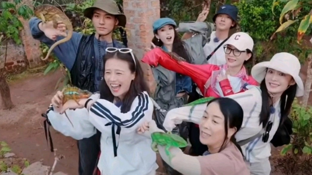 网友评《花少7》全员“淡人”
