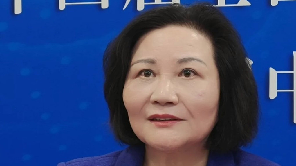  台湾省人大代表说台独跟班很可怜