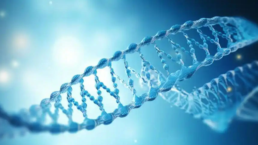 孕期接触杀菌剂影响持续20代