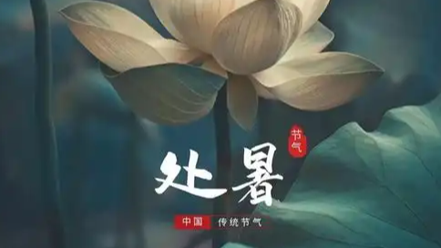 卫健委回应女子称孕7周遭医院误诊