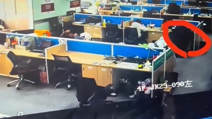  员工上班“摸鱼” 单位有权开除吗