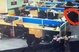   员工上班“摸鱼” 单位有权开除吗 缩略图