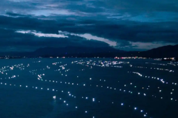   洱海长出“星空”竟是为了治水 缩略图