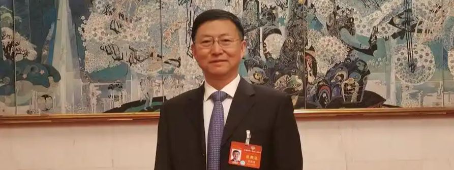  建议基础教育学制缩短为532