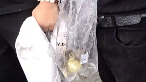  游客在杭州太子湾私自抓捕鸳鸯被拦