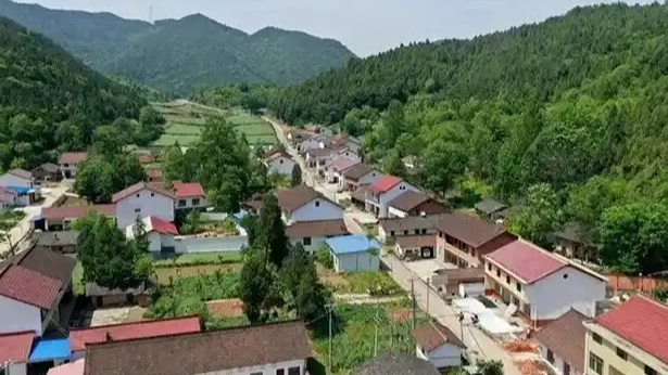  陕西一村支书防汛中遇难 知情人发声