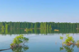   被云南滇池惊艳了 缩略图