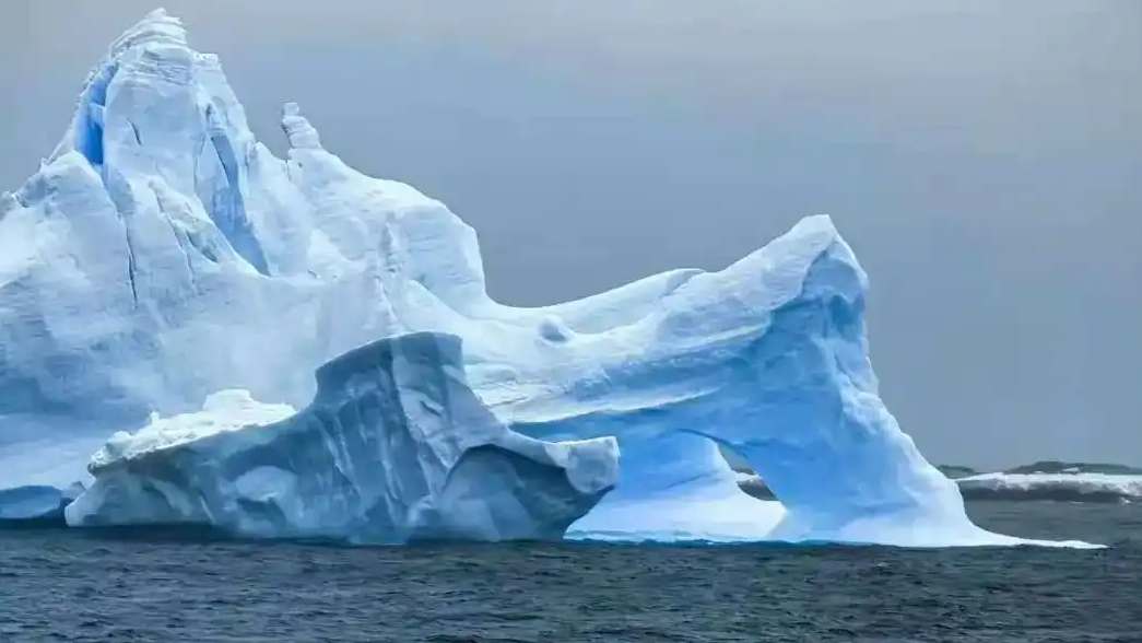  姑娘花10多万去南极下飞机行李没了