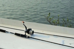 11日