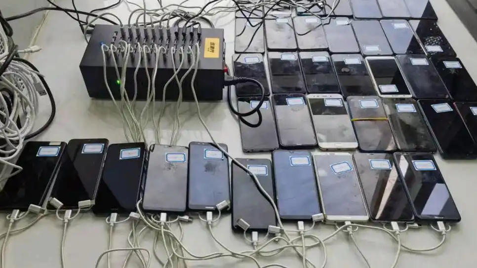 净网：网警揭露直播间“托儿”真面目