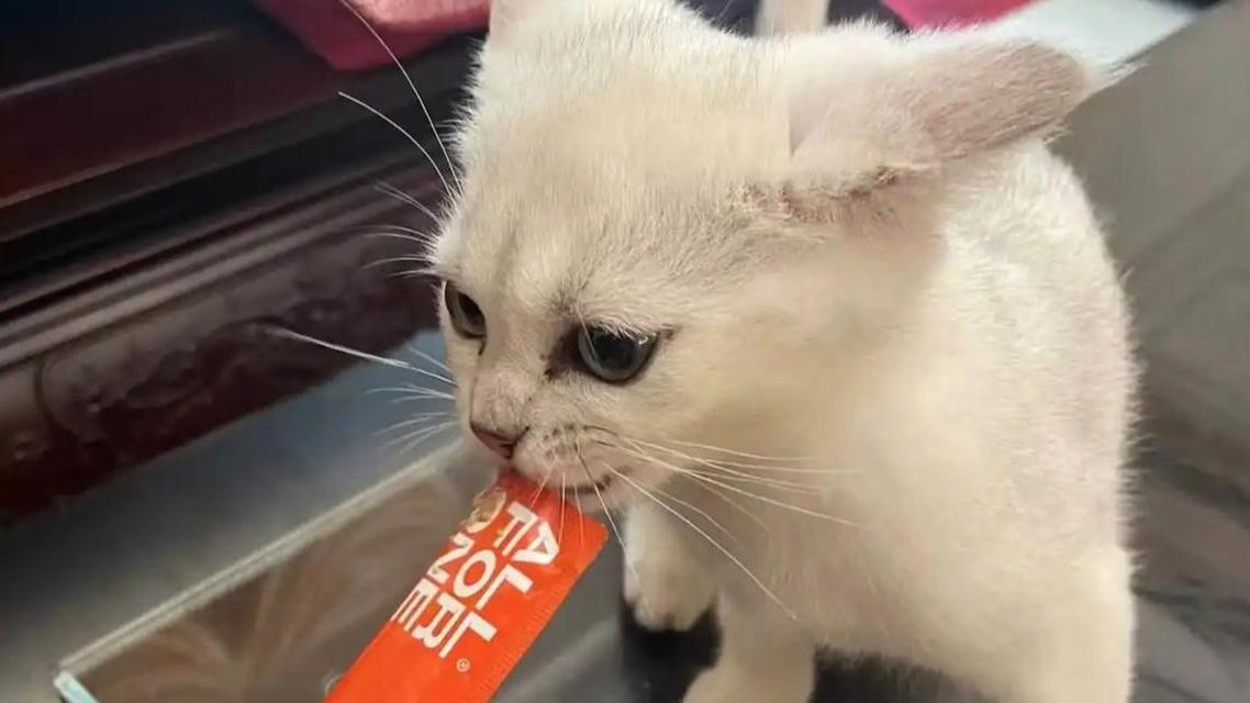 猫条品牌回应被测出三聚氰胺
