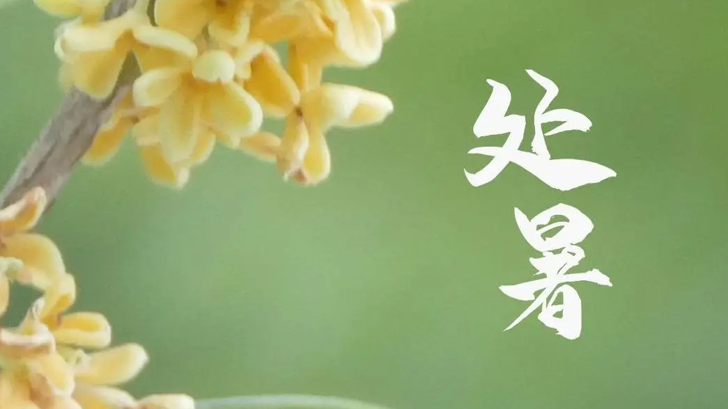 俄罗斯罗斯托夫市中心发生强烈爆炸