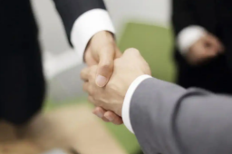   间谍策反中企员工致项目停工停产 缩略图