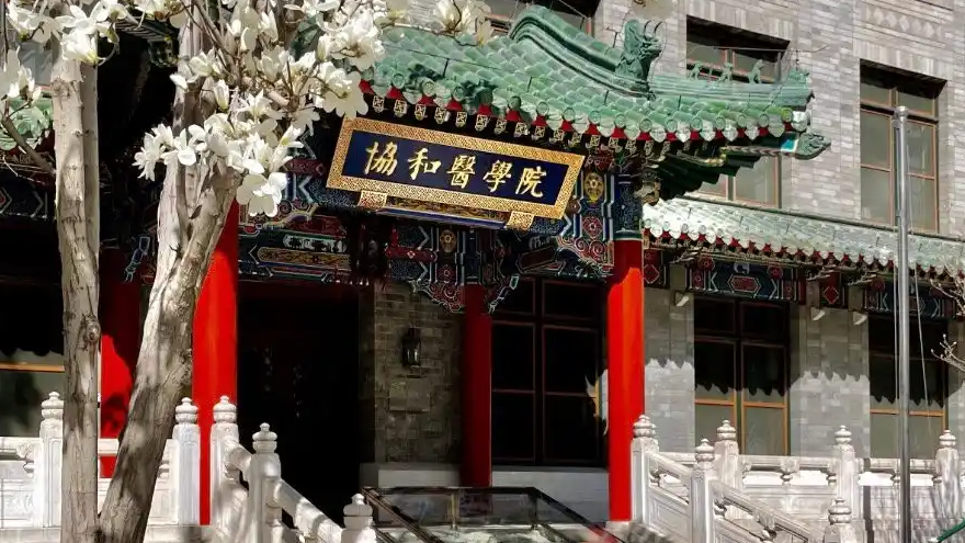 饒毅回應(yīng)曾怒懟協(xié)和“任人唯親”