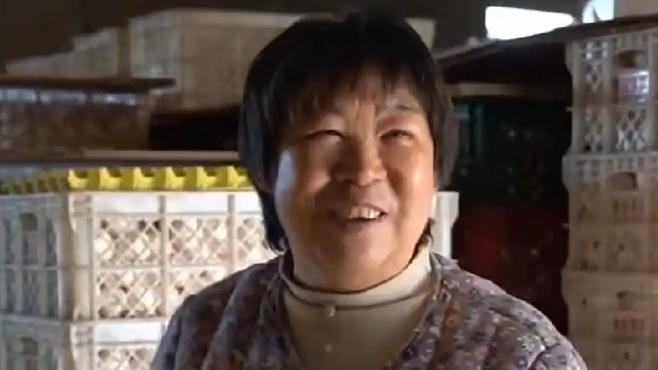 河南养鸡夫妻36万枚鸡蛋卖出36万元