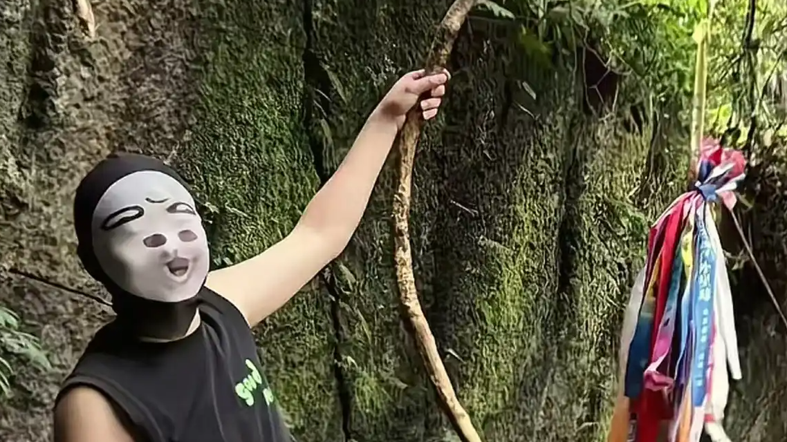 湖北宜昌网红树藤被蒙面人砍断