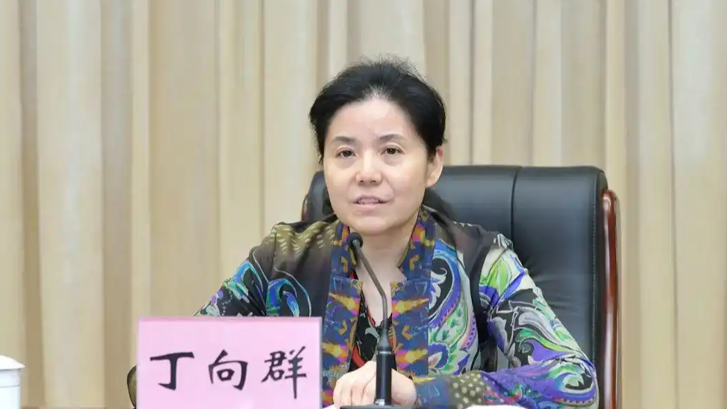 丁向群任金融监督管理总局党委书记