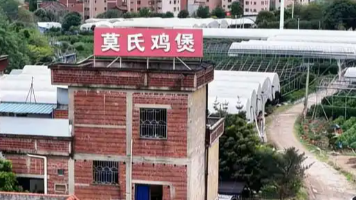 莫氏鸡煲持续爆火村里连夜修路