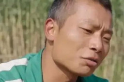   偷甘蔗体验游戏爆火 十几天就卖完了 缩略图