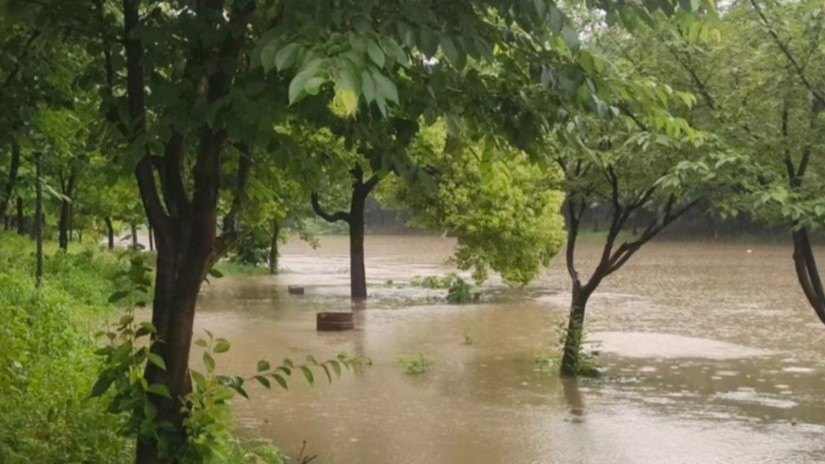 湖北荆州特大暴雨破纪录