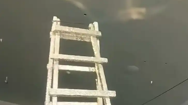 “梯子”艺术品被质疑就是普通梯子