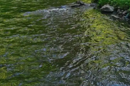 22日