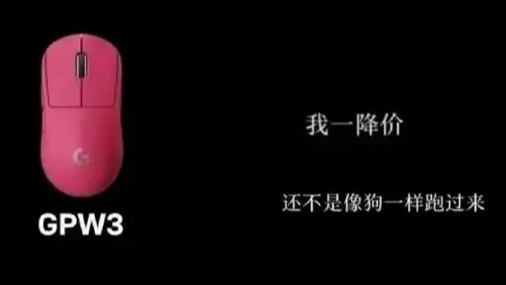 罗技中国区营收喜人 曾侮辱顾客是狗