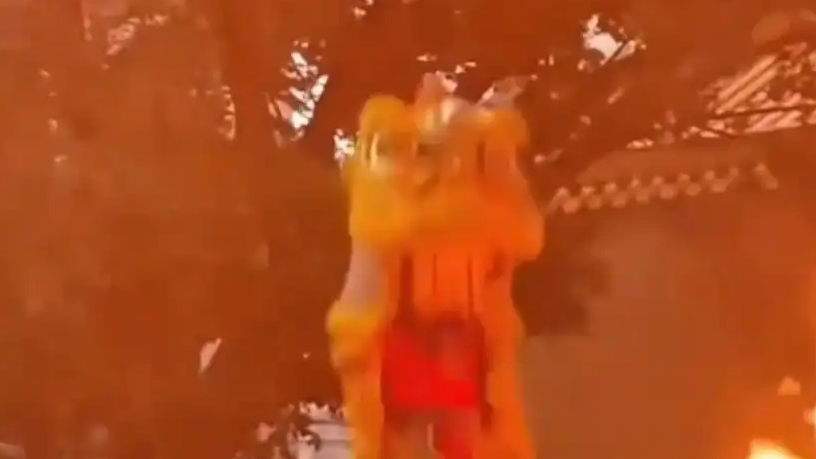 大雨倾盆观众散去 醒狮坚持舞完全程