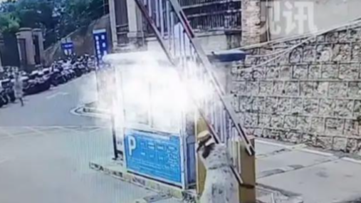 烈性犬咬人致死 犬主应承担什么责任”