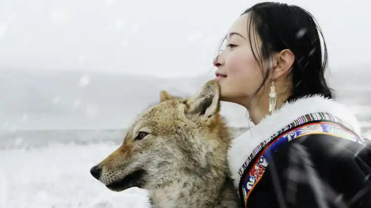 《重返狼群》原著曾被欠641万版税