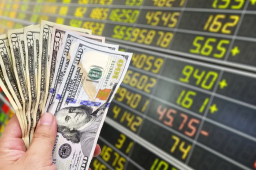 29日