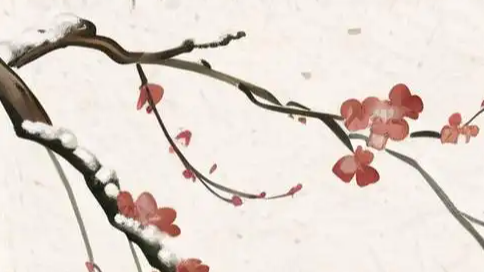 古韵国风成为年轻人顶流审美