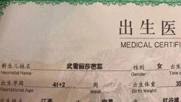 世界人形机器人运动会名场面来了