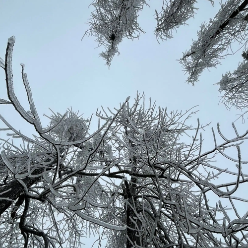 广东冷到“结冰”了